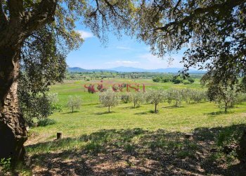 Foto 42 - Villa Roccastrada - foto 42