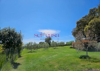 Foto 47 - Villa Roccastrada - foto 47