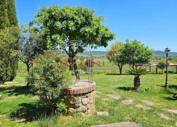 Foto 49 - Villa Roccastrada - foto 49