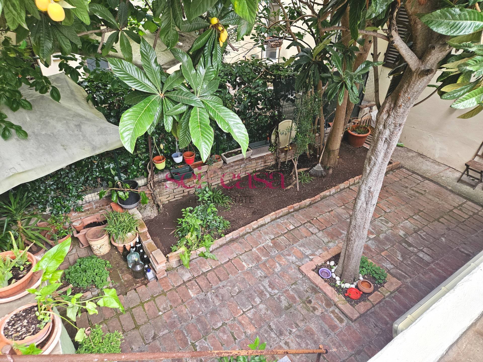 Foto 3 - Apartment Grosseto - photo 3