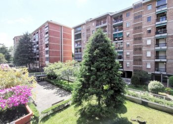 Giardino - Trilocale via Timoteo Riboli, 12, Torino (zona Mirafiori Sud) - foto 39