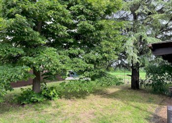 Giardino - Quadrilocale via Punta, Bologna (zona Borgo Panigale) - foto 22