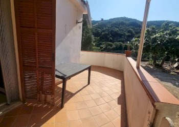 Three-room apartment Vallebona - photo 4
