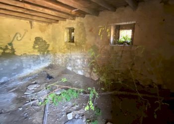 1778491268.jpg - Rustico Sarego - foto 5