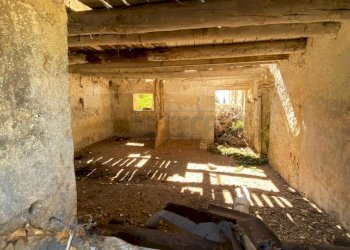 1778491269.jpg - Rustico Sarego - foto 6