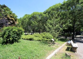 IMG_2276.JPG - Three-room apartment VIA STAZIONE, Crema - photo 10