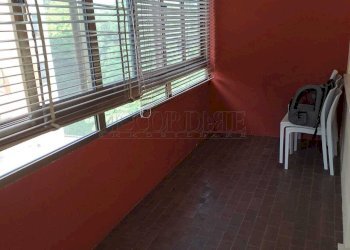 Immagine WhatsApp 2024-06-18 ore 09.52.02_8a5e39dc - Apartment Padova - photo 3