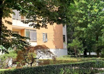 Immagine WhatsApp 2024-06-18 ore 09.52.02_fb88a514 - Apartment Padova - photo 6