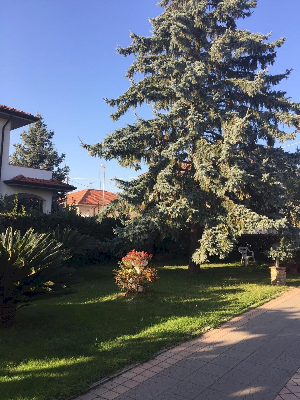 ca3.jpg - Villa Castelnuovo Magra - foto 3