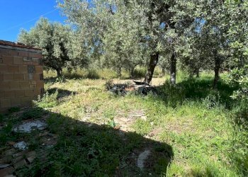 WhatsApp Image 2026-05-12 at 12.26.52 (7).jpg - Terratetto - Terracielo Via Paolo Borsellino 51, Frisa - foto 21