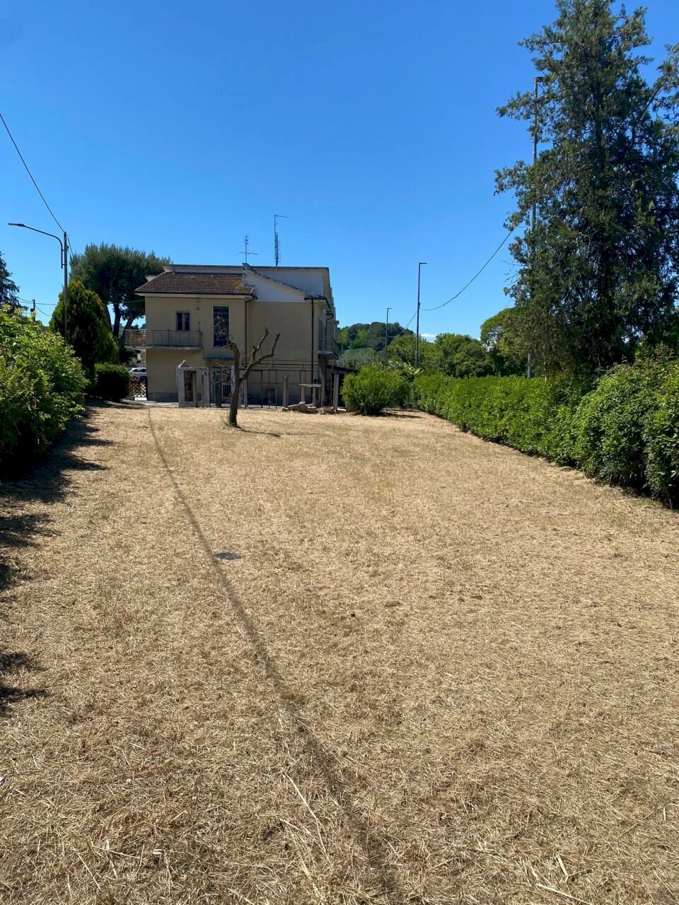 1779439318.jpg - Casa indipendente Senigallia - foto 1