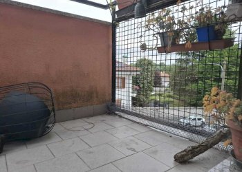 WhatsApp Image 2026-05-08 at 11.32.07.jpg - Three-room apartment Via Enrico Toti 10, Carate Brianza - photo 4