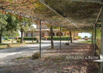 Rustic via di Gonzeto, 5, Montepulciano - photo 8