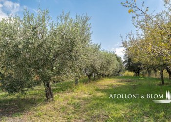 Rustic via di Gonzeto, 5, Montepulciano - photo 45