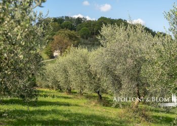 Rustic via di Gonzeto, 5, Montepulciano - photo 46