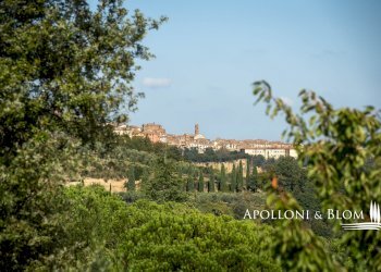 Rustic via di Gonzeto, 5, Montepulciano - photo 47