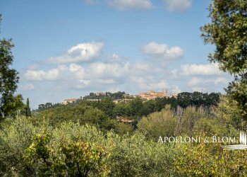 Rustic via di Gonzeto, 5, Montepulciano - photo 48
