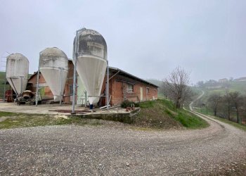 Shed via del Pretorio, Sassuolo - photo 1