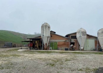 Shed via del Pretorio, Sassuolo - photo 4