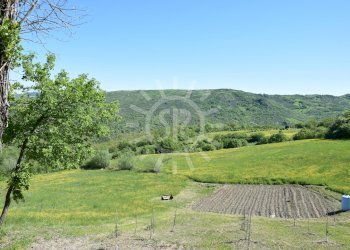 Rustico Monterenzio - foto 5