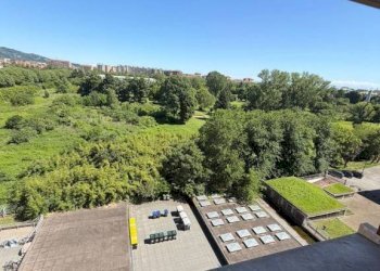 Bilocale Torino (zona Mirafiori Sud) - foto 3
