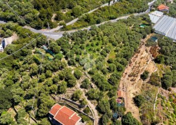 Agricultural land Via fossati, Cipressa - photo 4