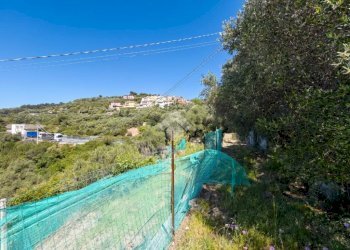 Agricultural land Via fossati, Cipressa - photo 5