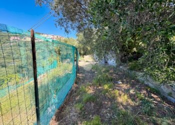 Agricultural land Via fossati, Cipressa - photo 9