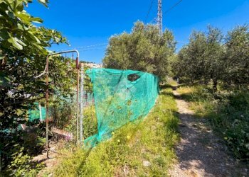 Agricultural land Via fossati, Cipressa - photo 15