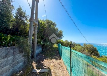 Agricultural land Via fossati, Cipressa - photo 17