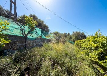 Agricultural land Via fossati, Cipressa - photo 19