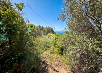 Agricultural land Via fossati, Cipressa - photo 20