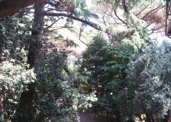 Appartamento Via Angelo Orsini, 8, Genova (zona Albaro) - foto 45