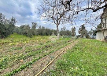 Independent house Via Cà Bernardo, Montegridolfo - photo 28