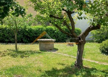 Two-room apartment Ravenna (neighborhood Mezzano - Borgo Masotti) - photo 18