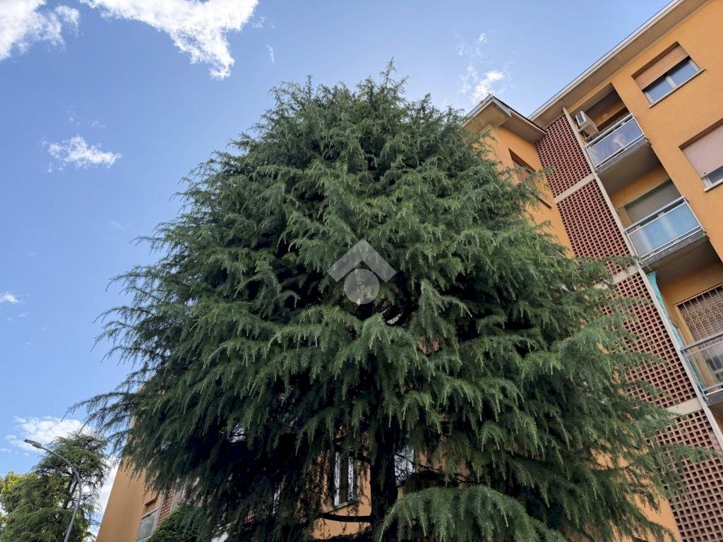 Quadrilocale Via Carlo Goldoni, Bologna - foto 1
