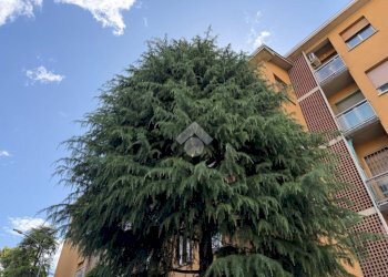 Quadrilocale Via Carlo Goldoni, Bologna - foto 1