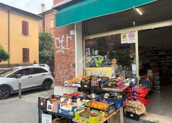 Shop Via Massarenti, Bologna (neighborhood Massarenti) - photo 12