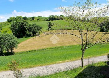 Rustico Str. Vernacchia Montevescovo, Meldola - foto 23