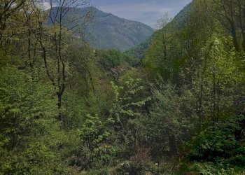 Foto 22 - Rustic Valle Cannobina - photo 22
