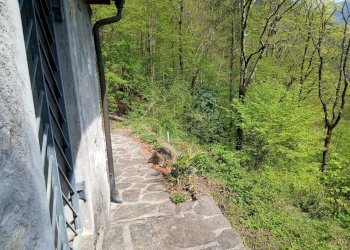 Foto 23 - Rustic Valle Cannobina - photo 23