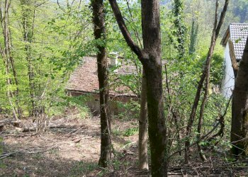 Foto 24 - Rustic Valle Cannobina - photo 24