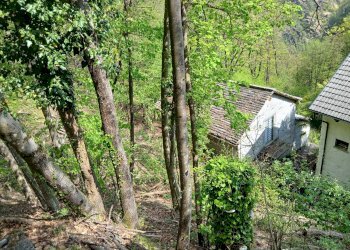 Foto 27 - Rustic Valle Cannobina - photo 27