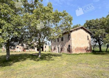 Foto 4 - Rustico 113, Pieve di Cento - foto 4