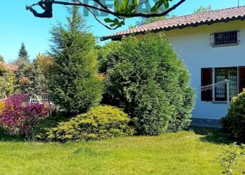 Giardino - Villa VIA BRIANZOLA
 
21, Carnago - foto 56