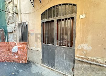 Casa all\'aperto - Trilocale vicolo Gesù e Maria 15 a Palazzo Reale e vicolo Pesacannone 5, Palermo - foto 30