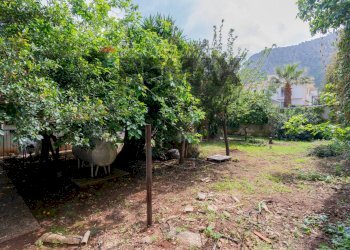 Giardino - Villa VIA PITEA DA MARSIGLIA
 
56, Palermo - photo 10
