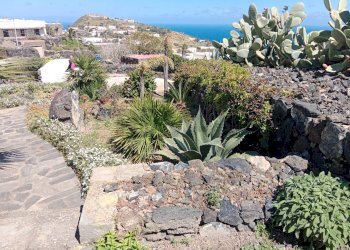 Vista dell\'acqua - Independent house Pantelleria - photo 23