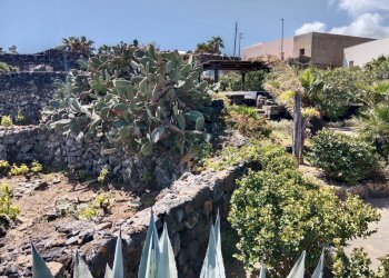 Giardino - Independent house Pantelleria - photo 25