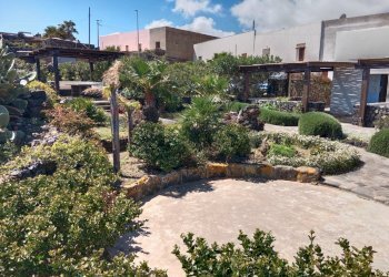 Giardino - Independent house Pantelleria - photo 26